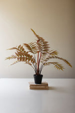 Artificial Yellow Fern in Black Pot – 26" Tall Faux Plant by Kalalou
