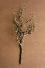 Artificial Dead Wood Branch – 31" Tall Faux Decorative Accent by Kalalou