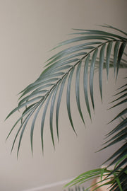 Decorative tropical palm tree with pot