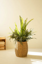 Artificial Fern Plant 40"H Green Plastic Faux Floor Accent in Black Pot by Kalalou