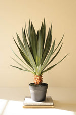 Artificial Sisal Plant 27"H Green Plastic Faux Potted Floor Accent in Black Pot by Kalalou