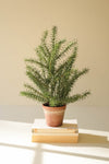 Artificial Rosemary Plant – 24" Faux Herb Accent