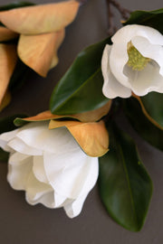 Lifelike Magnolia Stem with Leaves
