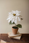 Faux White Poinsettia Plant – Cement Planter Holiday Accent
