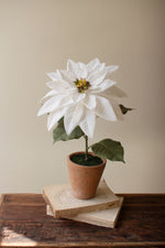 White Poinsettia Artificial Plant in Cement Planter – 18"Tall by Kalalou