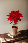 Artificial Poinsettia in Cement Pot – Red Christmas Flower by Kalalou