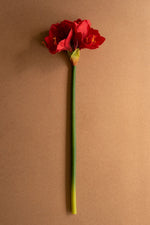 Artificial Red Amaryllis Flower – 30" Tall Stem, Set of 6 by Kalalou