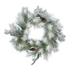 Vickerman D192424 24" Frosted Ansell Pine Artificial Christmas Wreath Unlit