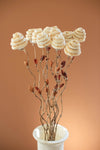 Tall Dried Flower Stems Bamboo Botanical Decor