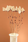 Fan Petal Dried Flower Stems Modern Botanical Decor
