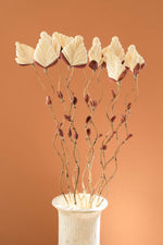 Dried Flowers on Bamboo 56"H Fan Petal Natural Multi Color Botanical Stem Set By Kalalou