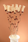 Frilled Petal Dried Flower Stems Rustic Botanical Decor