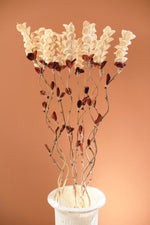 Dried Flowers on Bamboo 56"H Frilled Petal Natural Multi Color Stem Set By Kalalou