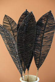 Decorative plant with black leaves in a pot on a brown background