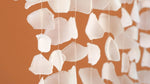 Shell chandelier hanging from a branch against an orange background