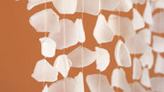 Shell chandelier hanging from a branch against an orange background