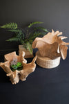 Wooden planters with plants on a dark background