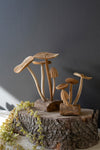 Carved teak wood mushroom clusters by Kalalou