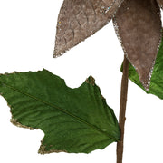 Vickerman E174916 24