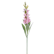 Vickerman EF222379 36