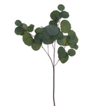 Vickerman EF224628 28" Artificial Green Silver Dollar Populus Eucalyptus Spray. 2 Sprays In A Bag.