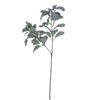 Vickerman EF225328 27" Artificial Frosted Green Lambs Ear Spray. 3 Sprays In A Bag.