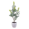 Vickerman EH213519 19" Artificial Blue Spruce Sapling Potted.