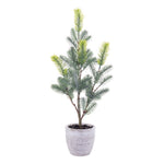 Vickerman EH213519 19" Artificial Blue Spruce Sapling Potted.
