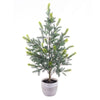 Vickerman EH213537 37" Artificial Blue Spruce Sapling Potted.