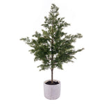 Vickerman EH213837 37" Artificial Green Cypress Sapling Potted.