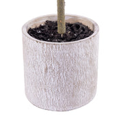 Vickerman EH214034 34