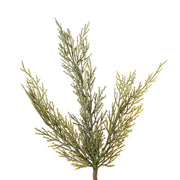 Vickerman EH214034 34
