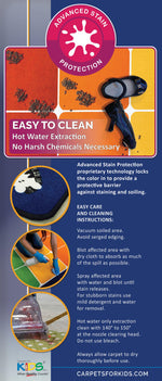 Easy to Clean Classroom Rugs