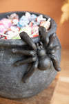Halloween Candy Cauldron 8 Height Black Terracotta with Spider by Kalalou