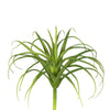 Vickerman FA171601 8" Artificial Frosted Green Grass Stem Set Of 3