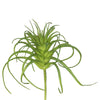 Vickerman FA171701 5" Artificial Frosted Green Grass Stem Set Of 6