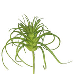 Vickerman FA171701 5" Artificial Frosted Green Grass Stem Set Of 6