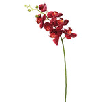 Vickerman FA172202 35" Magenta Real Touch Orchid Artificial Floral Stem
