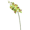 Vickerman FA172205 35" Green Real Touch Orchid Artificial Floral Stem