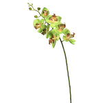 Vickerman FA172205 35" Green Real Touch Orchid Artificial Floral Stem