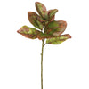 Vickerman FA172301 31" Artificial Autmn Magnolia Leaves No Blossom Set Of 3