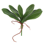 Vickerman FA173101 9" Artificial Real Touch Green Orchid Leaves Set Of 3
