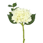 Vickerman FA173701 15" Short Stem Artificial Cream Hydrangea Set Of 3