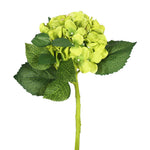 Vickerman FA173702 15" Short Stem Artificial Green Hydrangea Set Of 3