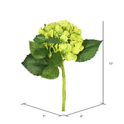 Vickerman FA173702 15