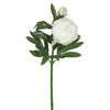 Vickerman FA174802 24" Artificial Cream Peony Stem Set Of 3