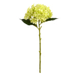 Vickerman FA186804 19" Artificial Green Hydrangea Spray. Includes 3 Sprays Per Pack.