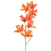 Vickerman FA188901 32