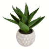Vickerman FA192604 11" Artificial Green Succulent In Container.