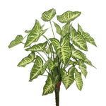 Vickerman FB171901 22" Artificial Green Syngonium Bush.